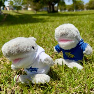 peluches en forma de tiburón con camisas azul y blanca con logo de tiburón