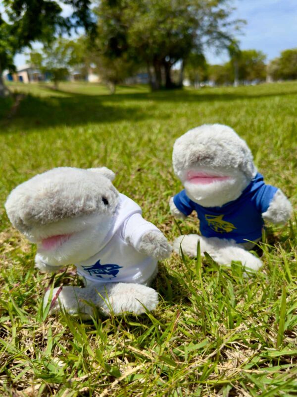 peluches en forma de tiburón con camisas azul y blanca con logo de tiburón