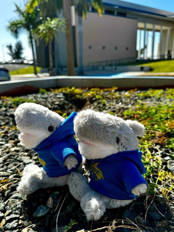 dos peluches en forma de tiburón con camisa color azul y logo de tiburón